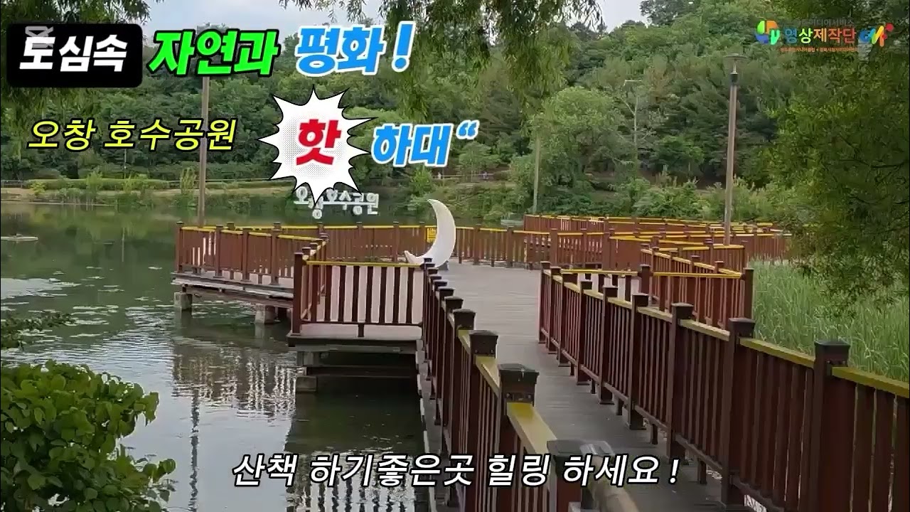 도심 속 자연과 평화 오창호수공원