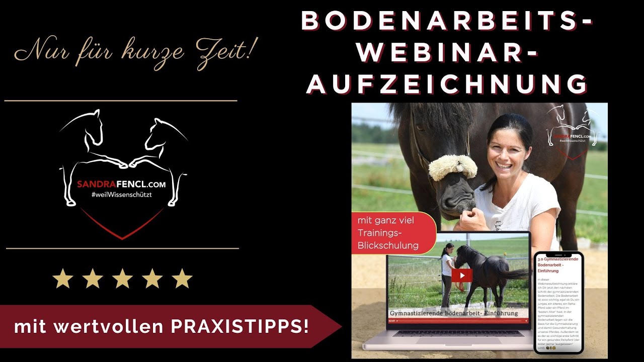 🐎🤩 Super spannende Bodenarbeits-Webinaraufzeichnung