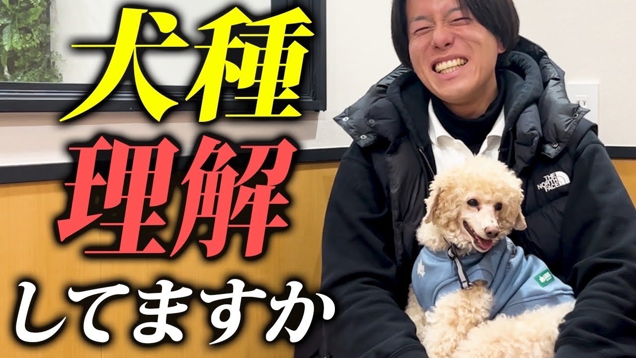 【SNSでは言えない】人気犬種の