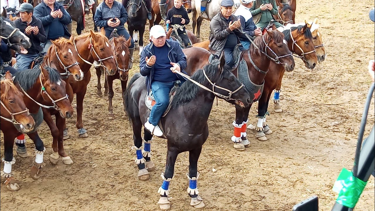 ABDULLA ALIBEKOV TUYALAR TOYLAR ONA BOLA SIGIR UMRA ZIYORATIGA SAYOHAT HAMMASI O'Z EGALARIGA BERILDI