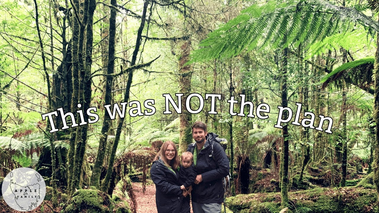 Relocating to this MAGICAL cool temperate rainforest in NW Tasmania