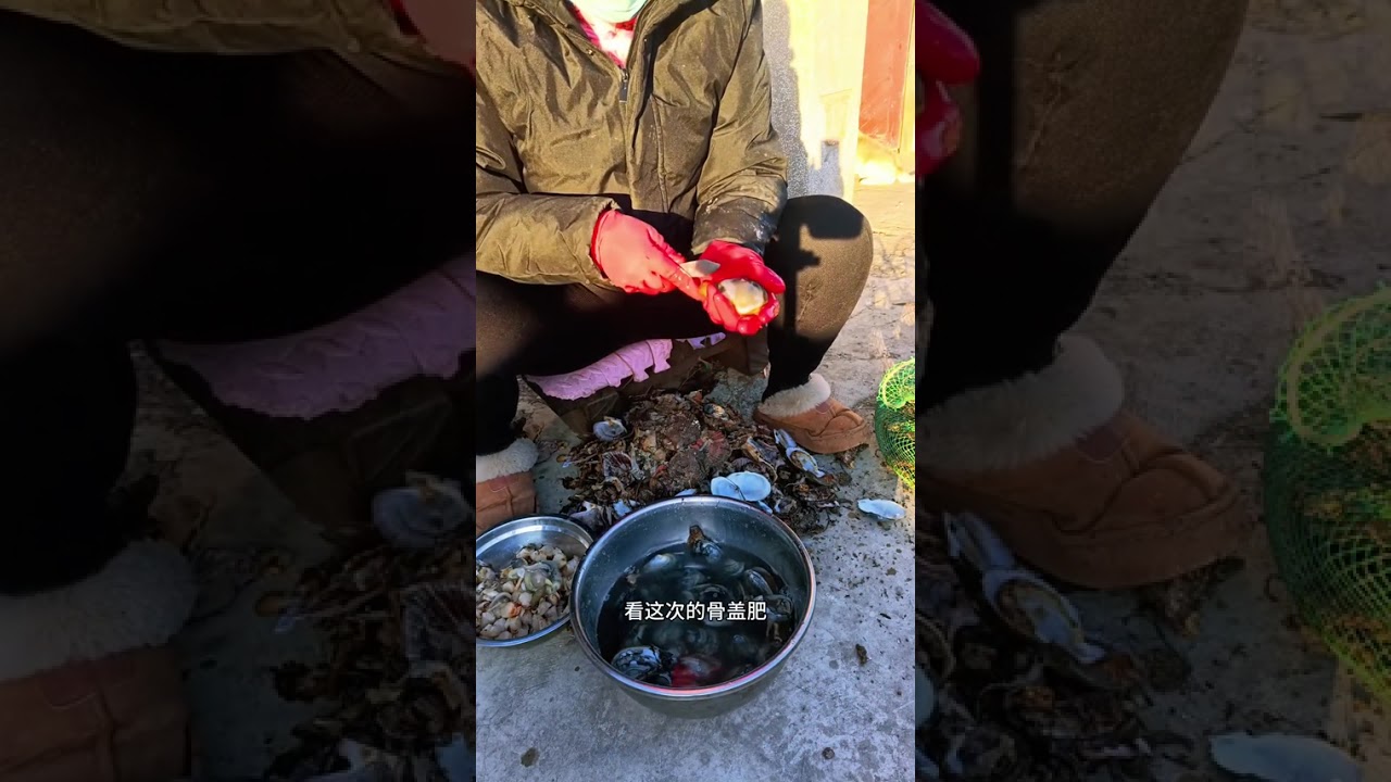 冬日限定鲜到掉眉毛！蒿海菜+扇贝丁包子，一口爆汁的胶东海味神仙搭配❄️东风情拿捏！ 不用山珍海味，不用复杂调料，