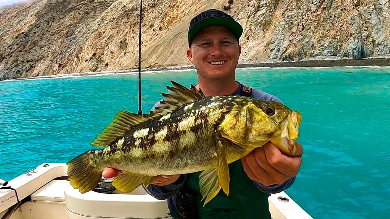 Fishing Catalina Island! Part 1 of 3 Wide Open Calico Bass (Catch, Clean and Cook)