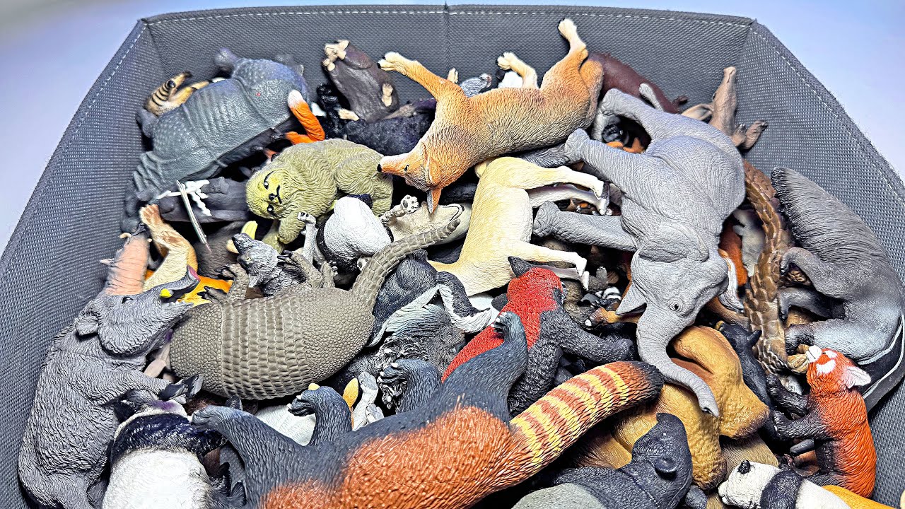 Wild Animal Toys, Animal Names - Panda, Wolf, Black Bear, Sloth, Tapir, Porcupine, Indian Rhinoceros