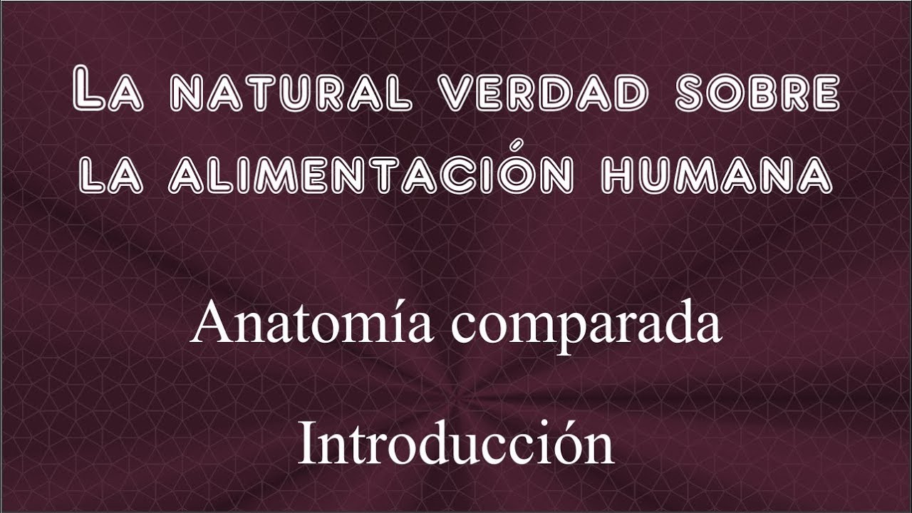 04 - Alimentaci&oacute;n humana. Anatom&iacute;a comparada. Introducci&oacute;n.