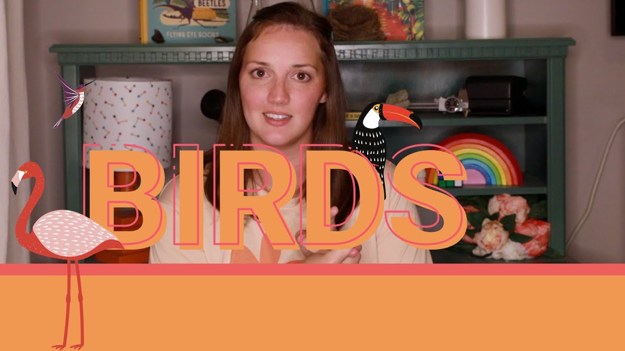 BIRDS || What Makes a Bird a Bird?