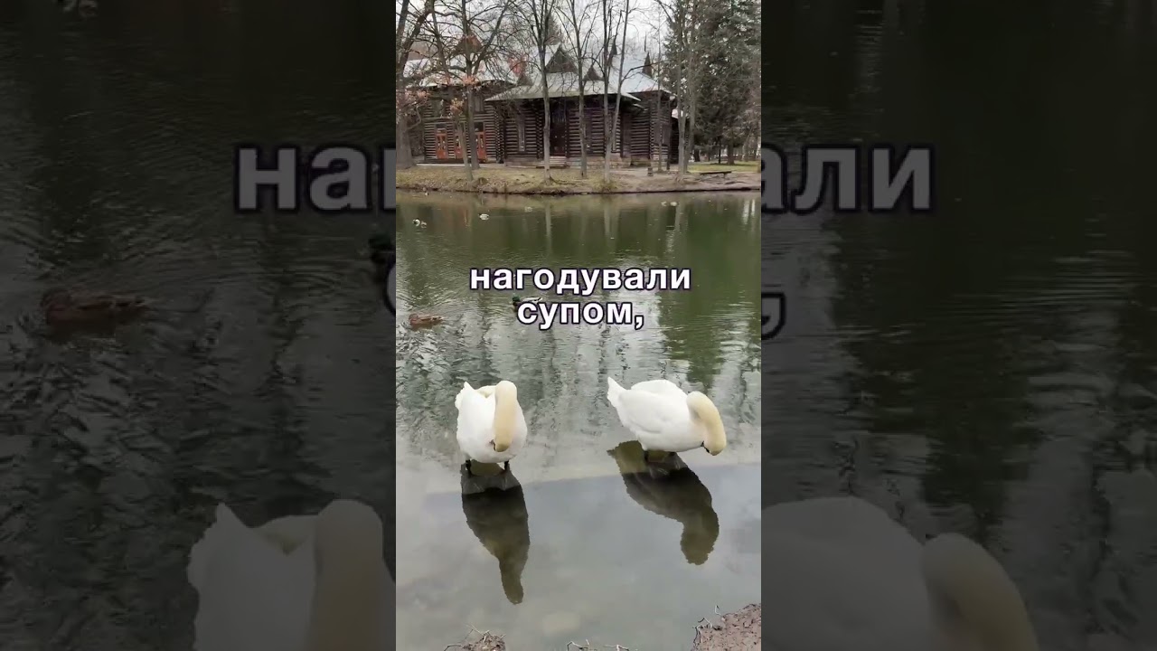 Доля сироти