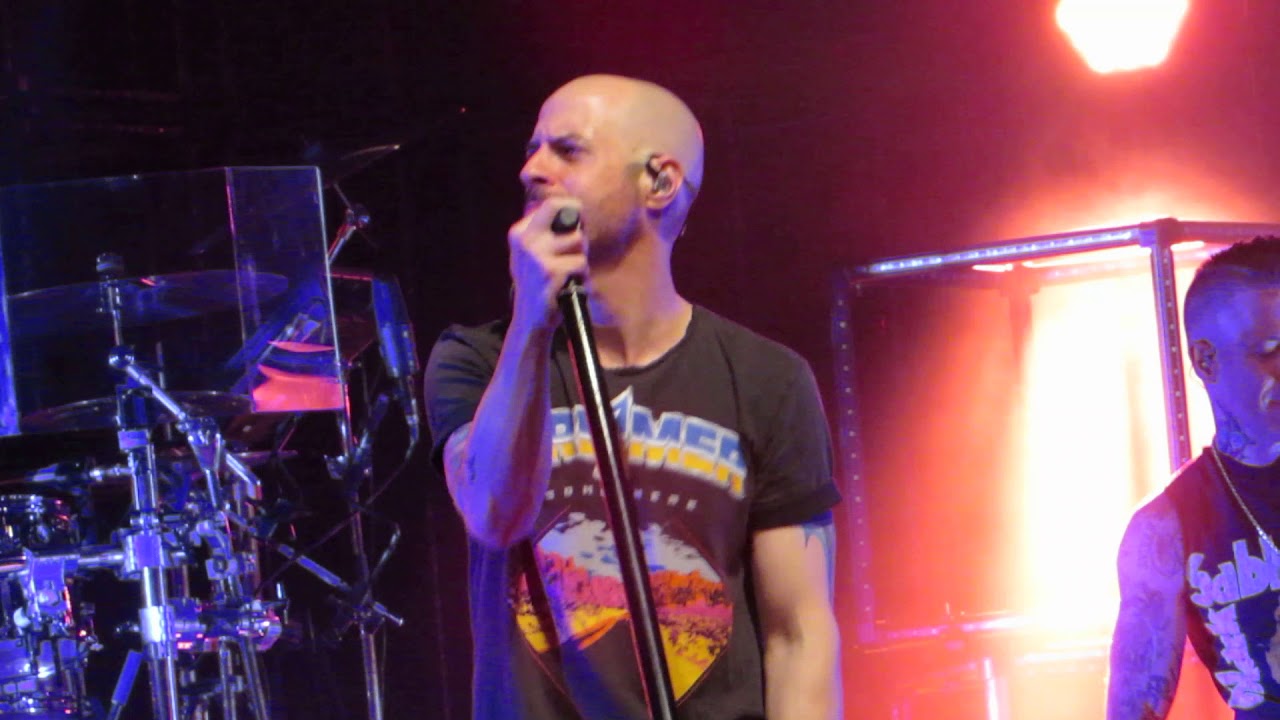Daughtry 