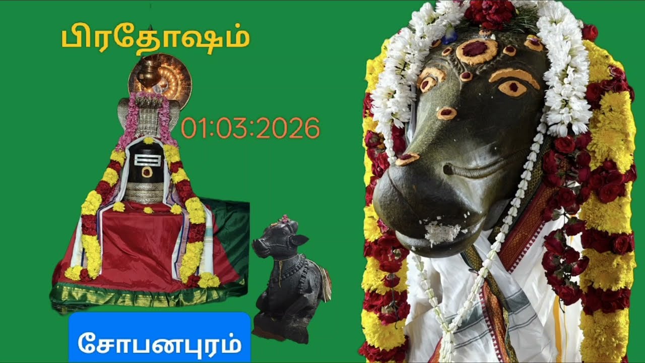 பிரதோஷ அபிஷேகம் 