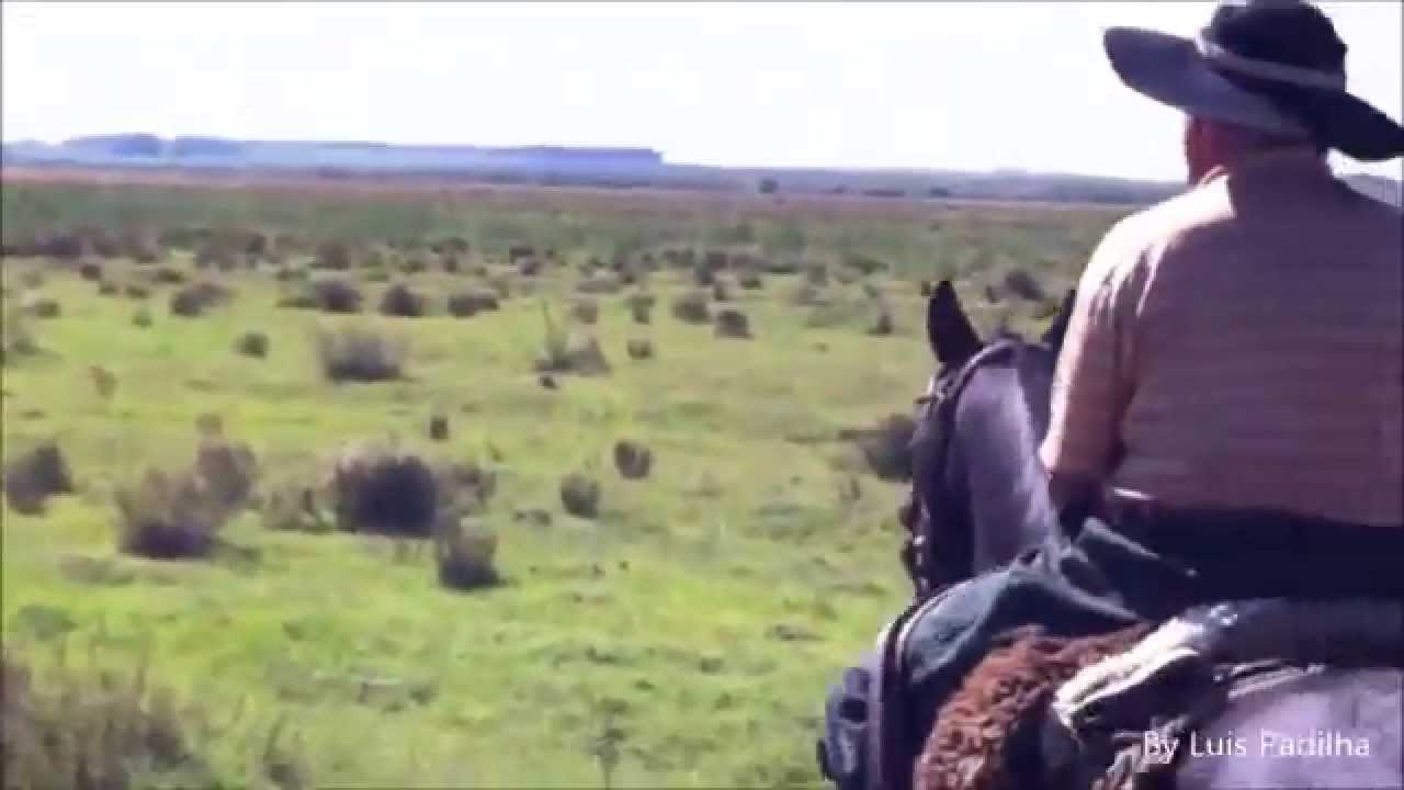 Cancioneiro das Coxilhas Os Bertussi HD