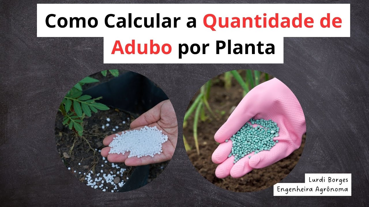 COMO CALCULAR A QUANTIDADE DE ADUBO POR PLANTA