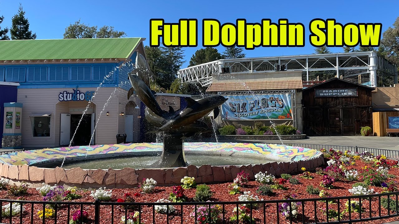 Six Flags Discovery Kingdom Full Dolphin Show