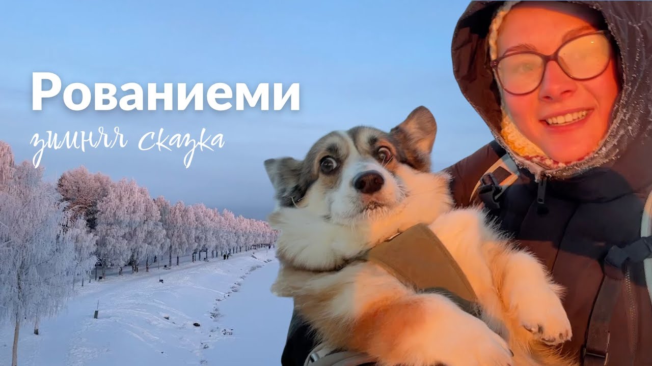 Рованиеми, Лапландия: Санта, олени, мороз, зимняя сказка