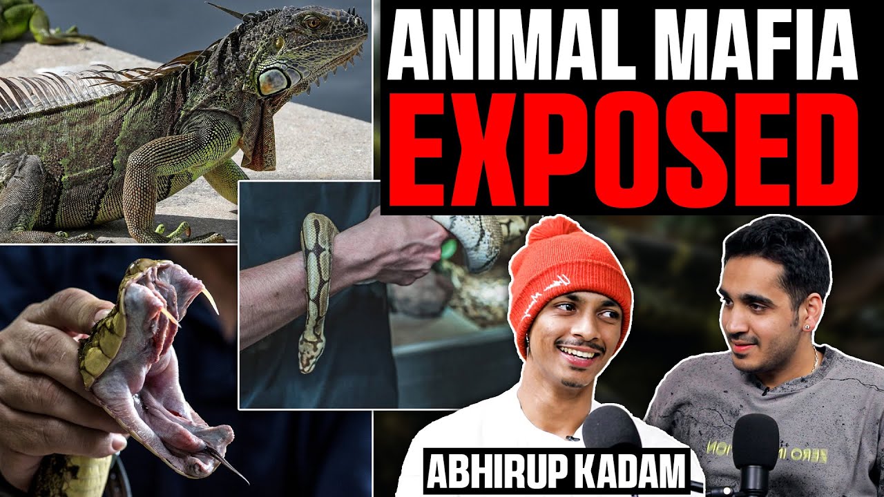 Real Side Of Snakes, Animal Smuggling, Rescue Stories and More Ft. Abhirup Kadam | RealHit