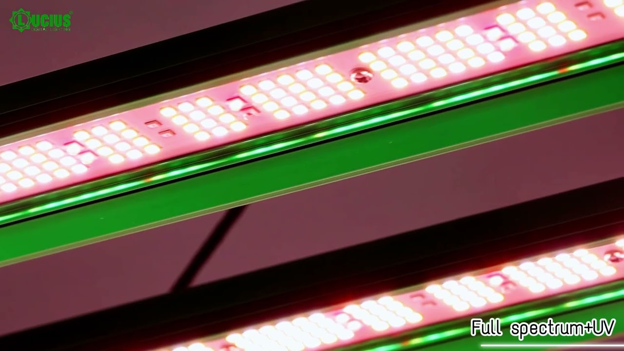 800w uv&ir with timer