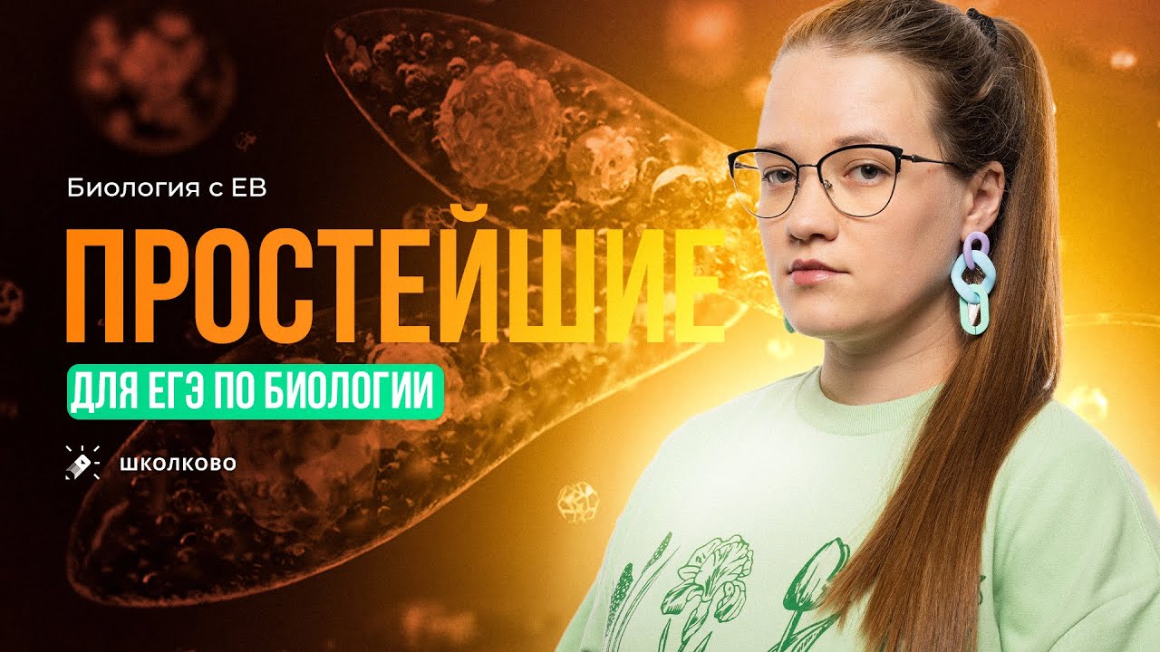 Зоология: простейшие. ЕГЭ по биологии 2024
