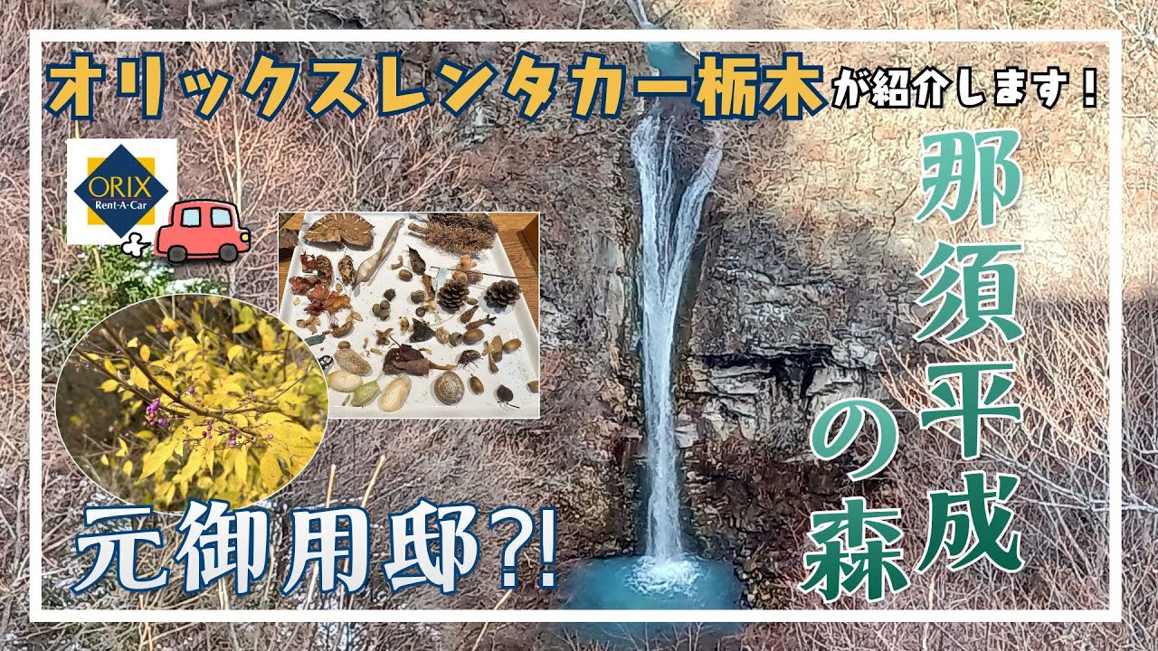【那須観光】大自然とふれあおう！『那須平成の森』