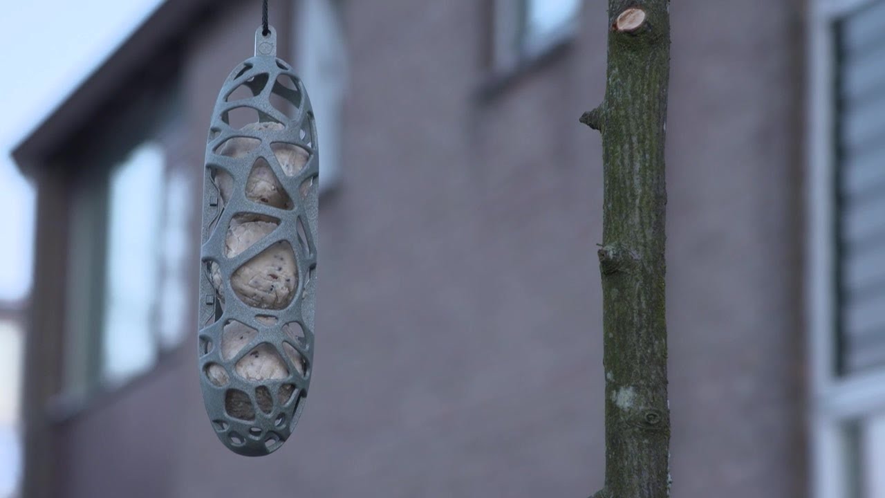 SingingFriend compilatie | Lodewijks Groene Geluk