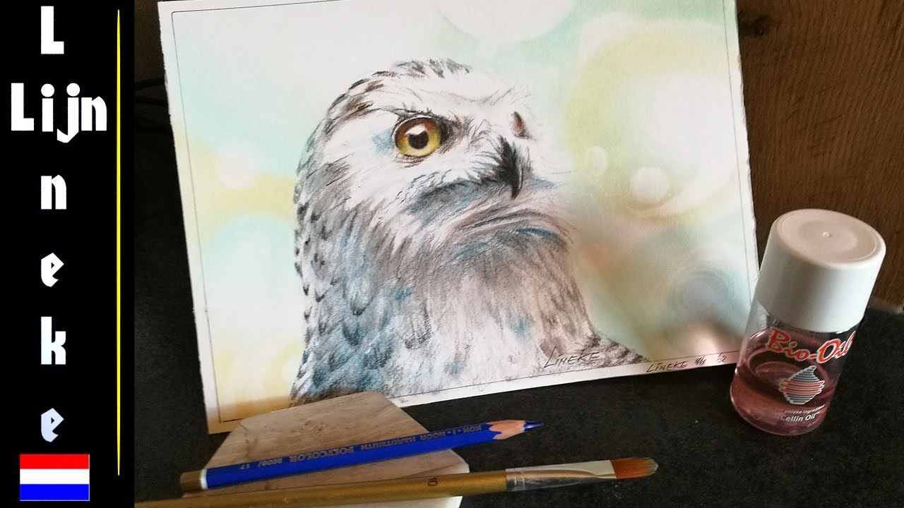 UIL tekenen Kleur potlood met olie tekening
