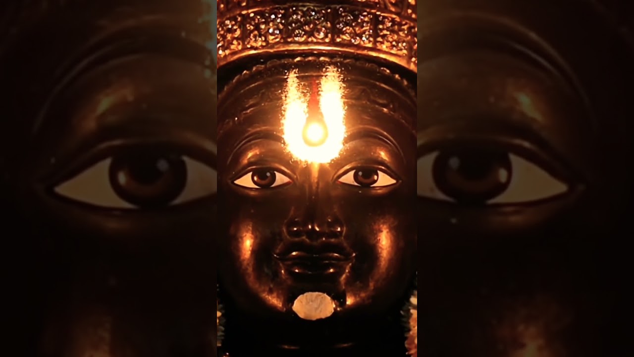 swami blessings epudu mitho untai 🙏🏼#govinda #tirumala #viral #bakthi #trend #facts #srinivasa