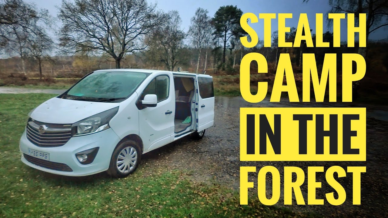 Overnight at Local Woodland in my Part Converted Vauxhall Vivaro Stealth Camper