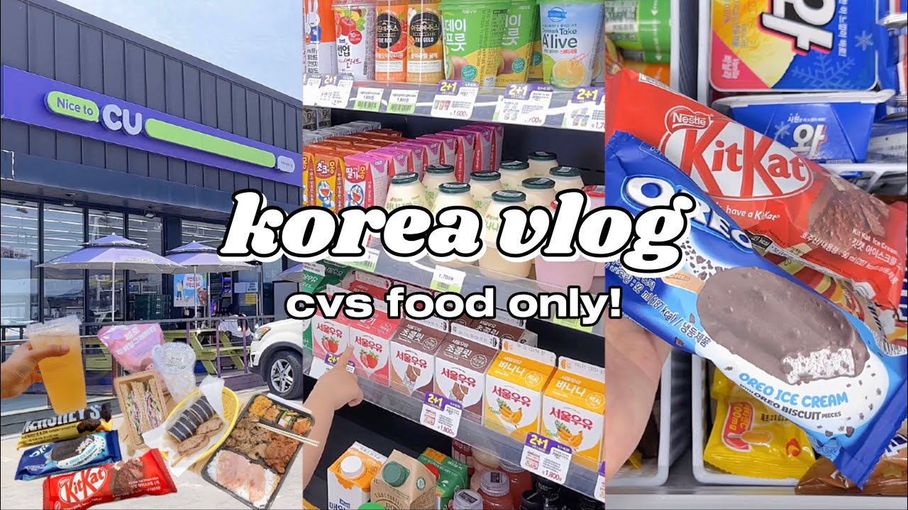korea vlog 🇰🇷 convenience store food on summer picnic 🍱 lunch boxes, ice cream & more ⛺️🍦