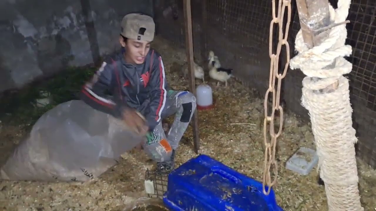 So ist es jetzt hier Neue Pläne 