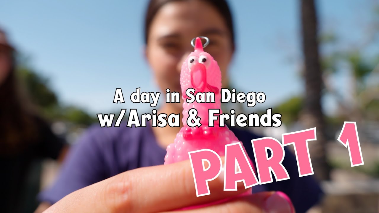 SKATING IN SAN DIEGO WITH MY FRIENDS - THE ARI-VERTER - PART 1