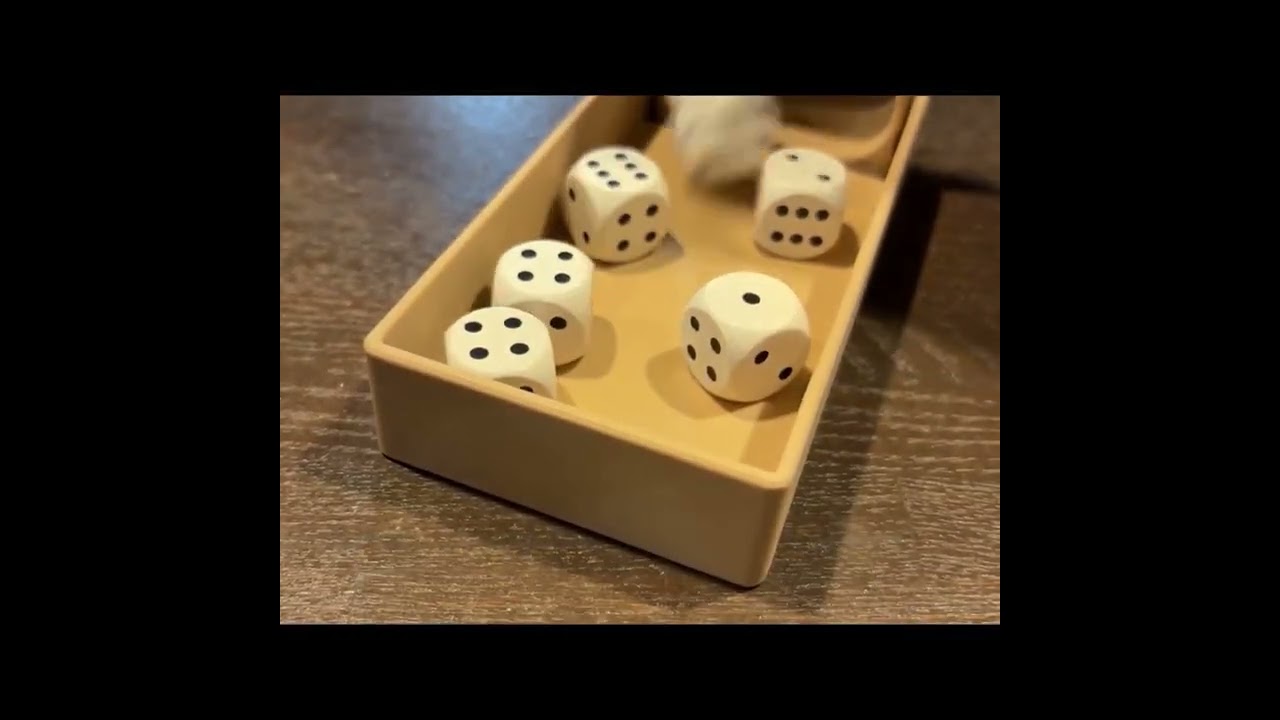 【小さくてもしっかりランダム！】コンパクトダイスタワー