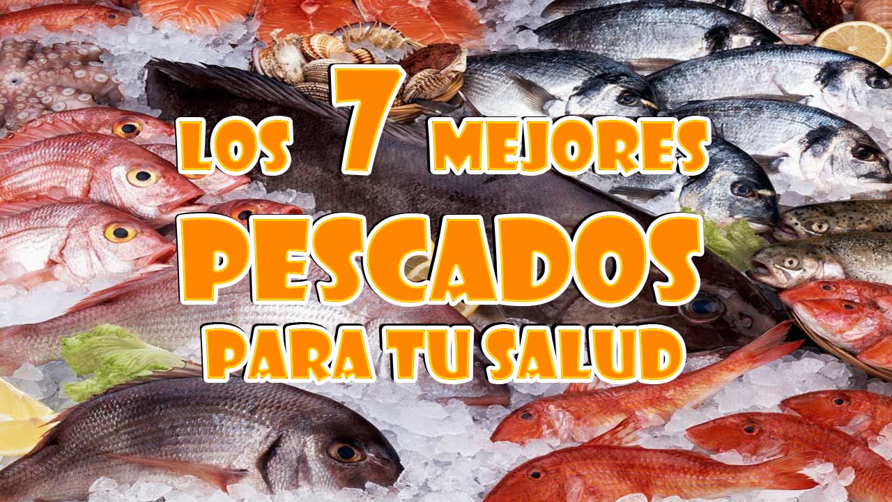 Los 7 Mejores Pescados para tu Salud