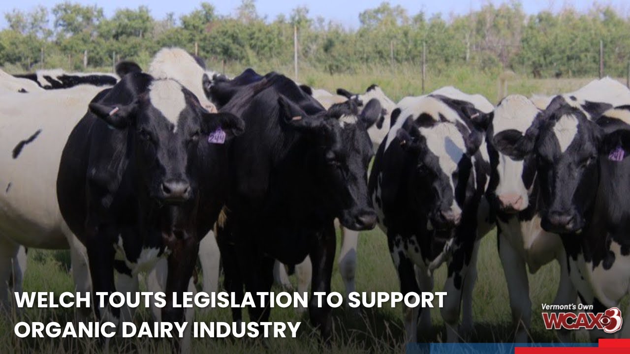 Welch touts legislation to support organic dairy industry