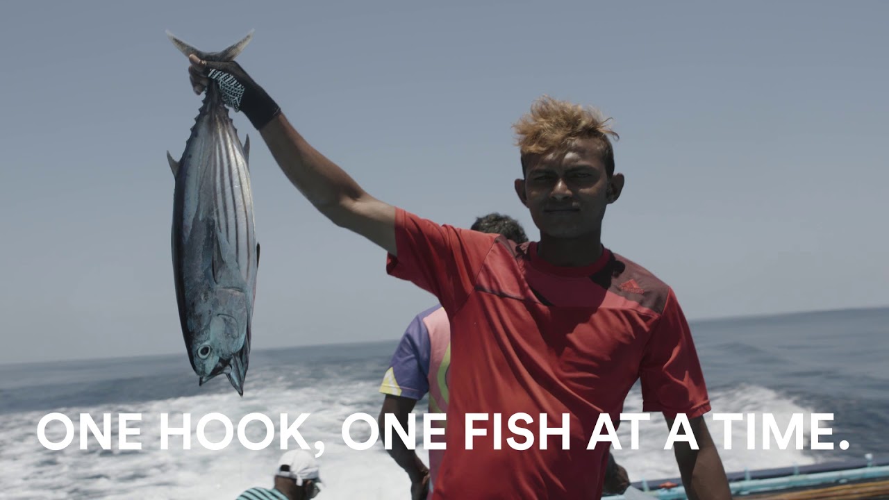Behind the Scenes &ndash; Sustainable Canned Tuna l Whole Foods Market