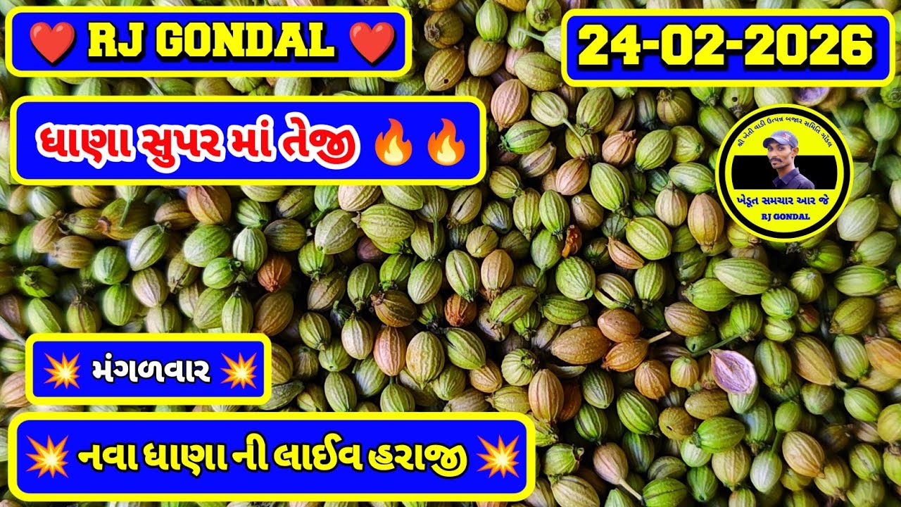 નવા ધાણા ના ભાવ | 24-02-2026 | Nava Dhana Na Bhav | Coriander  Market | RJ Gondal Market Yard