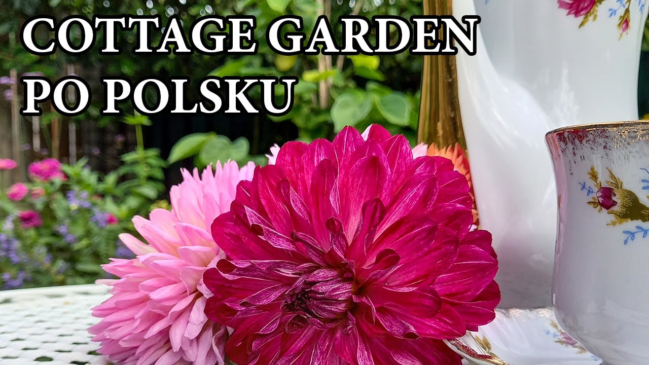 Jak zaprojektować rabatę w stylu angielskim / COTTAGE GARDEN style / Kwiaty w ogrodzie / MrsGarden