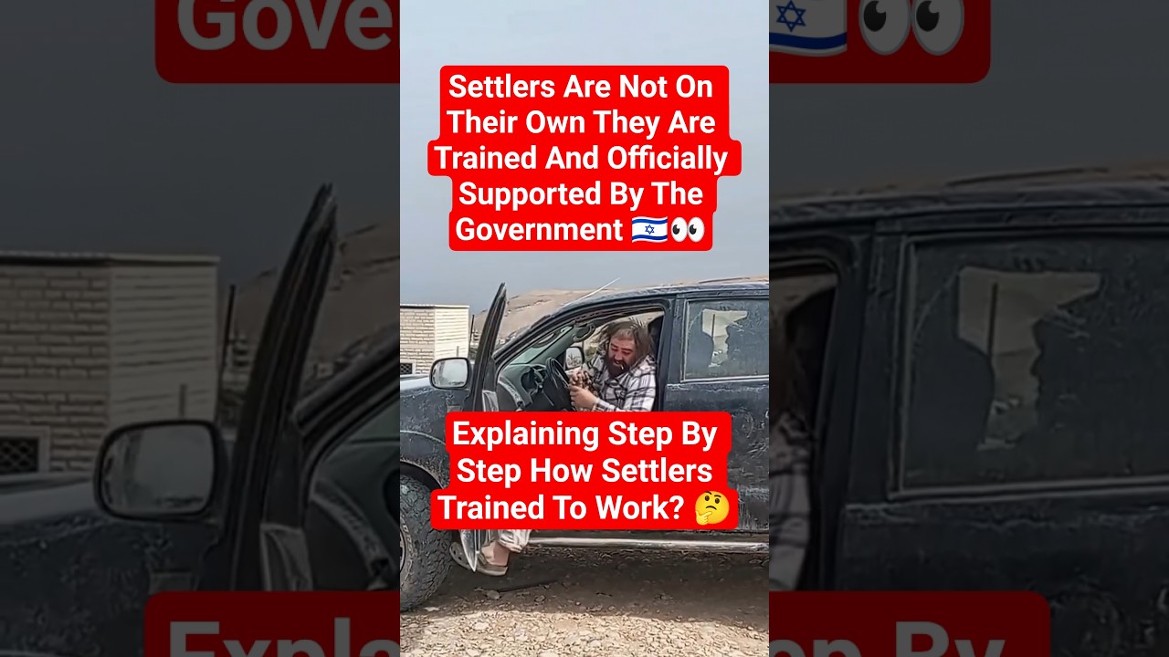 How Settlers Work? Step By Step? 🇮🇱👀