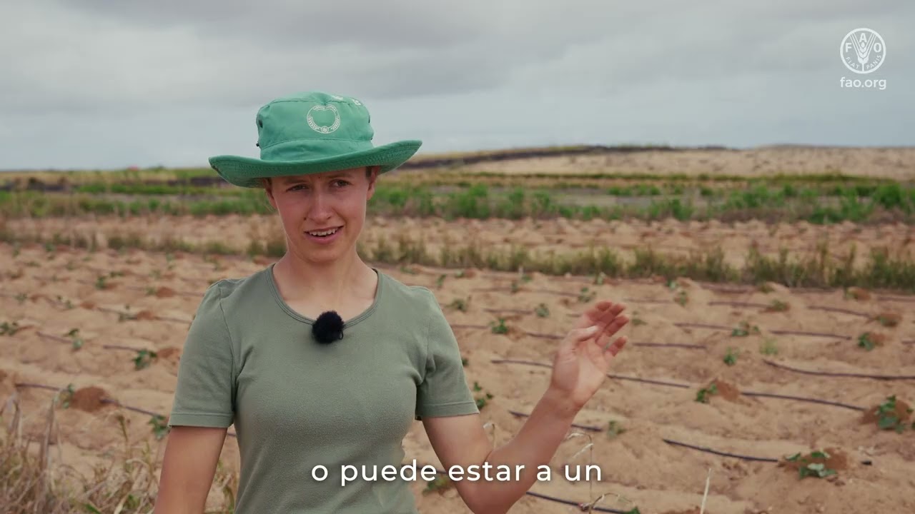 Volcán y memoria en Lanzarote: un sistema agrícola de patrimonio mundial