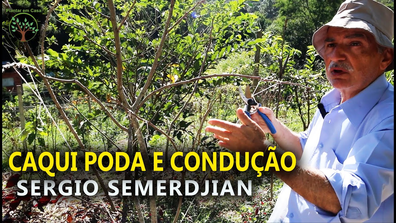 Caqui Condução de Inverno com Sergio Semerdjian no Plantar em Casa