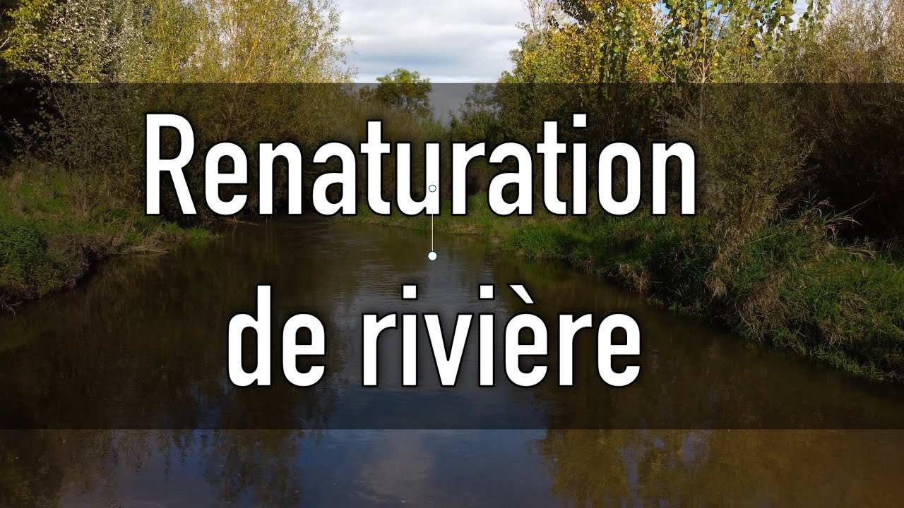 La renaturation des rivières, une solution pour retrouver un bon état des eaux