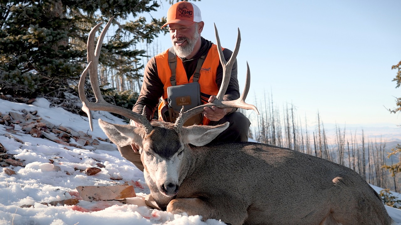 This Hunt Gets Wild!  | Public Land Mule Deer | 🎬 GRITTY 4K FILM