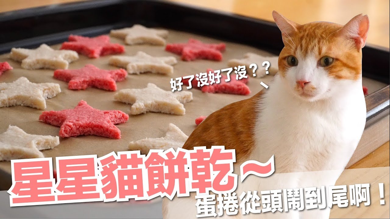 蛋捲寶刀未老！星星貓餅乾【貓副食食譜】好味貓鮮食廚房EP127