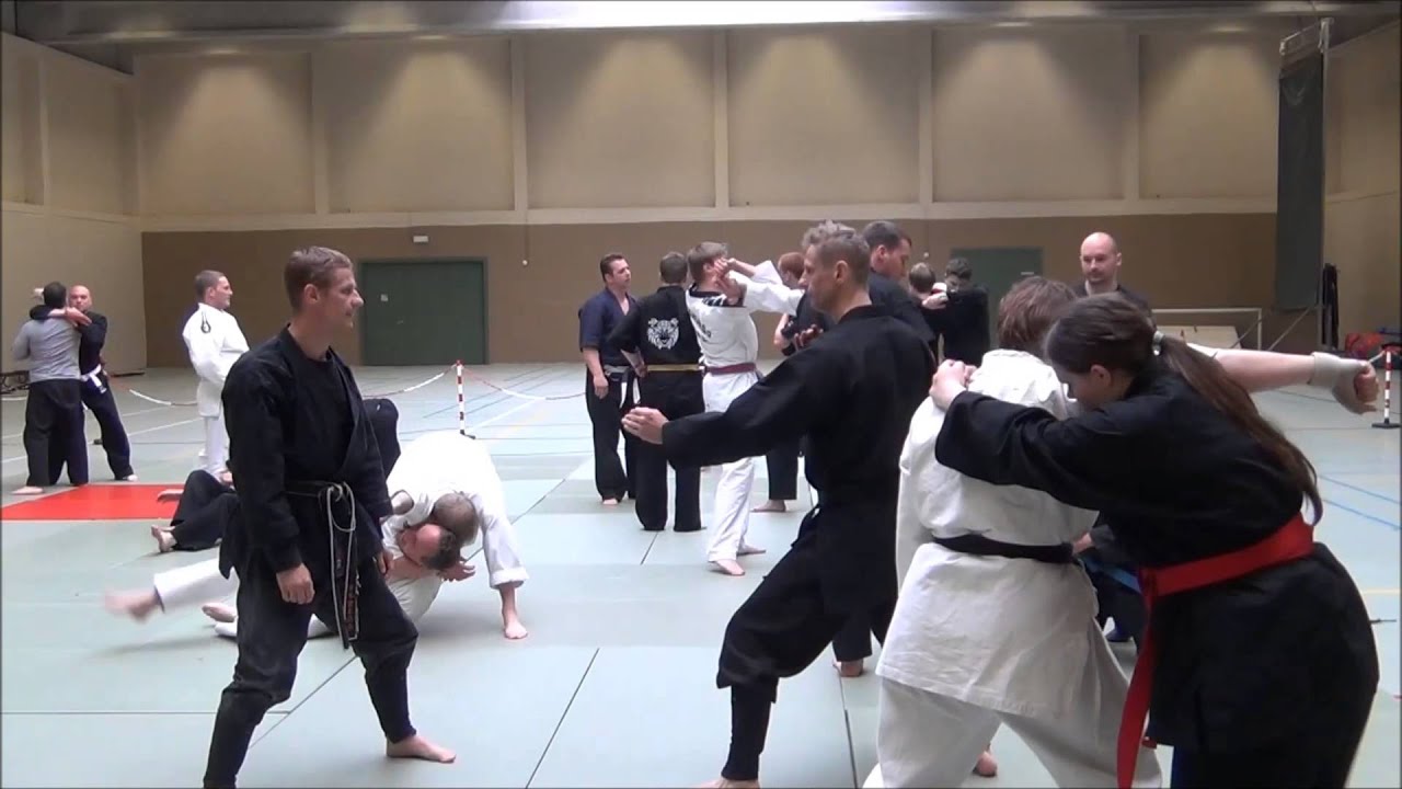 Open Budo Dag 2013
