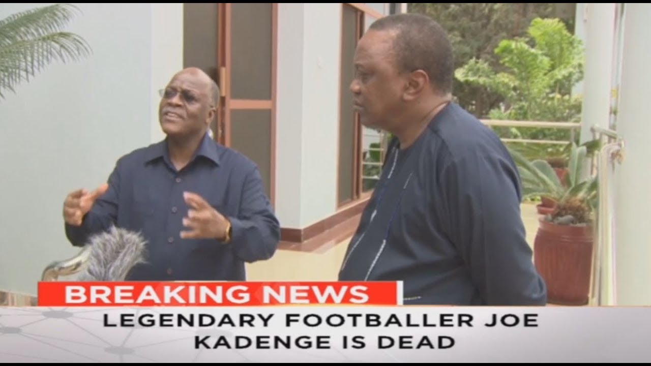Presidents Uhuru, Magufuli vow to tackle insecurity