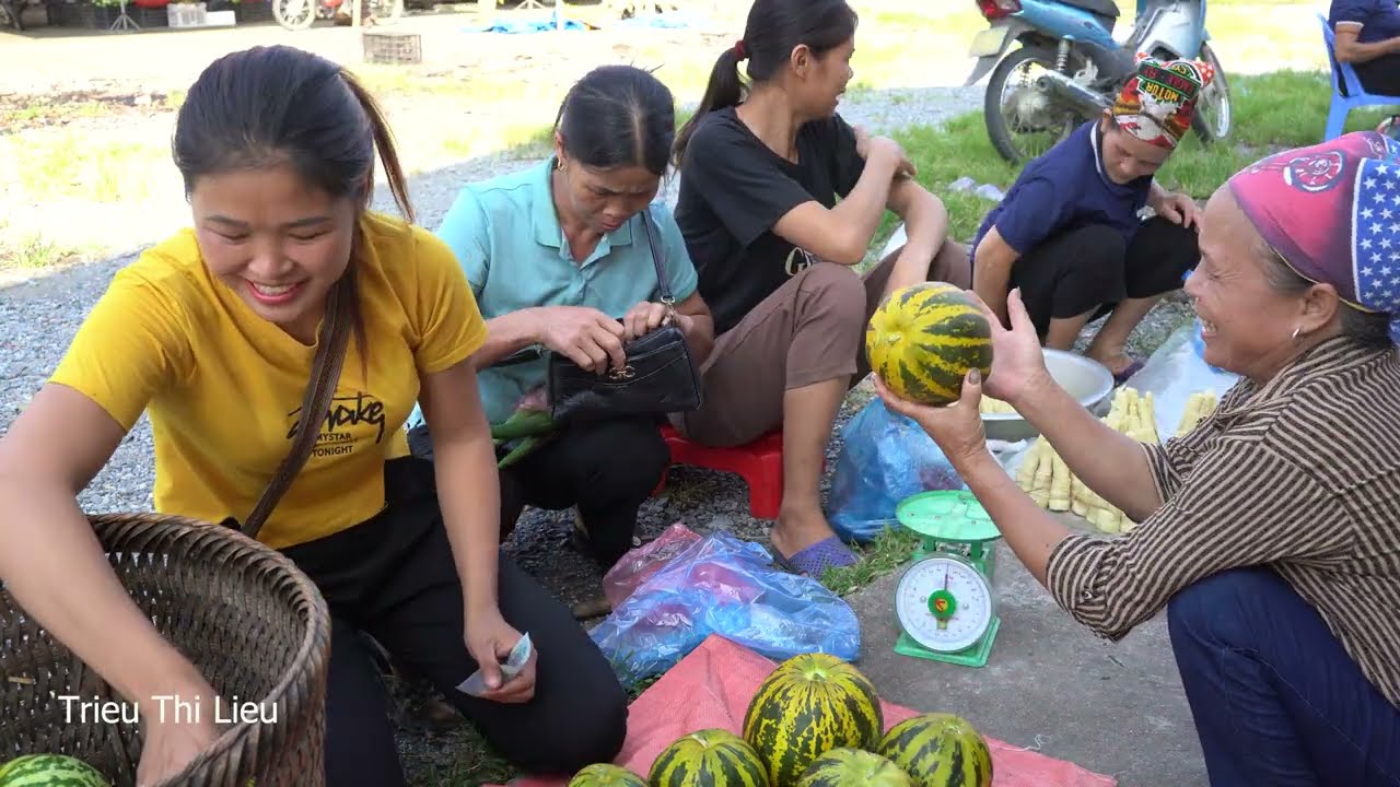 Taking care of the garden with my boyfriend and harvesting melons to sell at the market