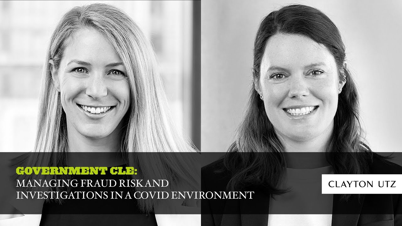 Government - Managing Fraud Risk and Investigations in a COVID Environment