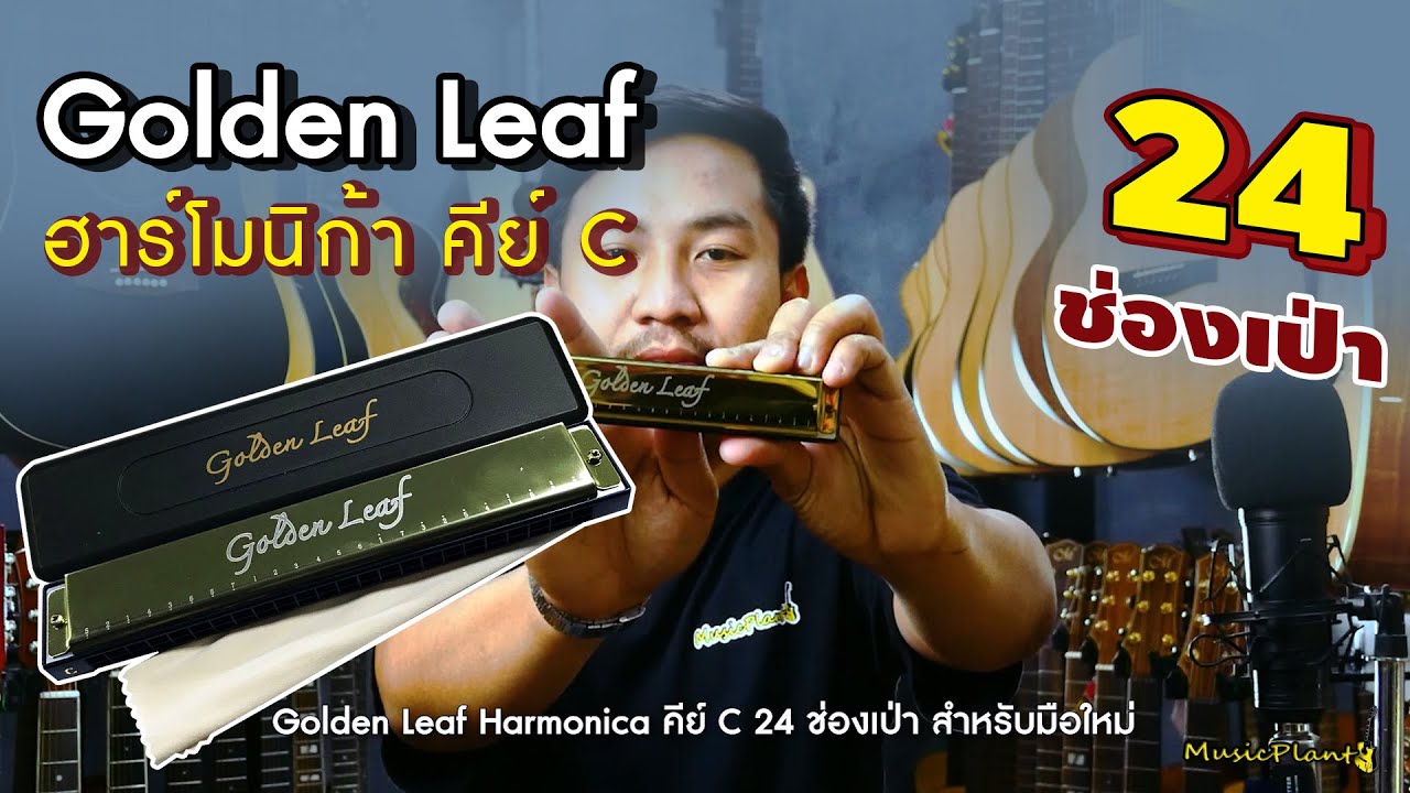 Golden Leaf ฮาร์โมนิก้า Harmonica ขนาด 24 ช่อง คีย์ C สำหรับผู้เริ่มต้น