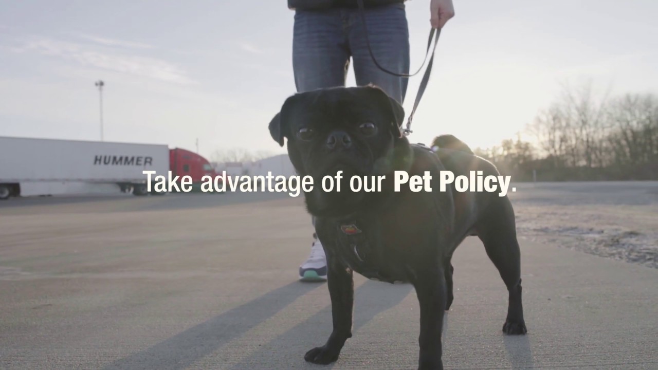 Dogs Welcome at Don Hummer Trucking
