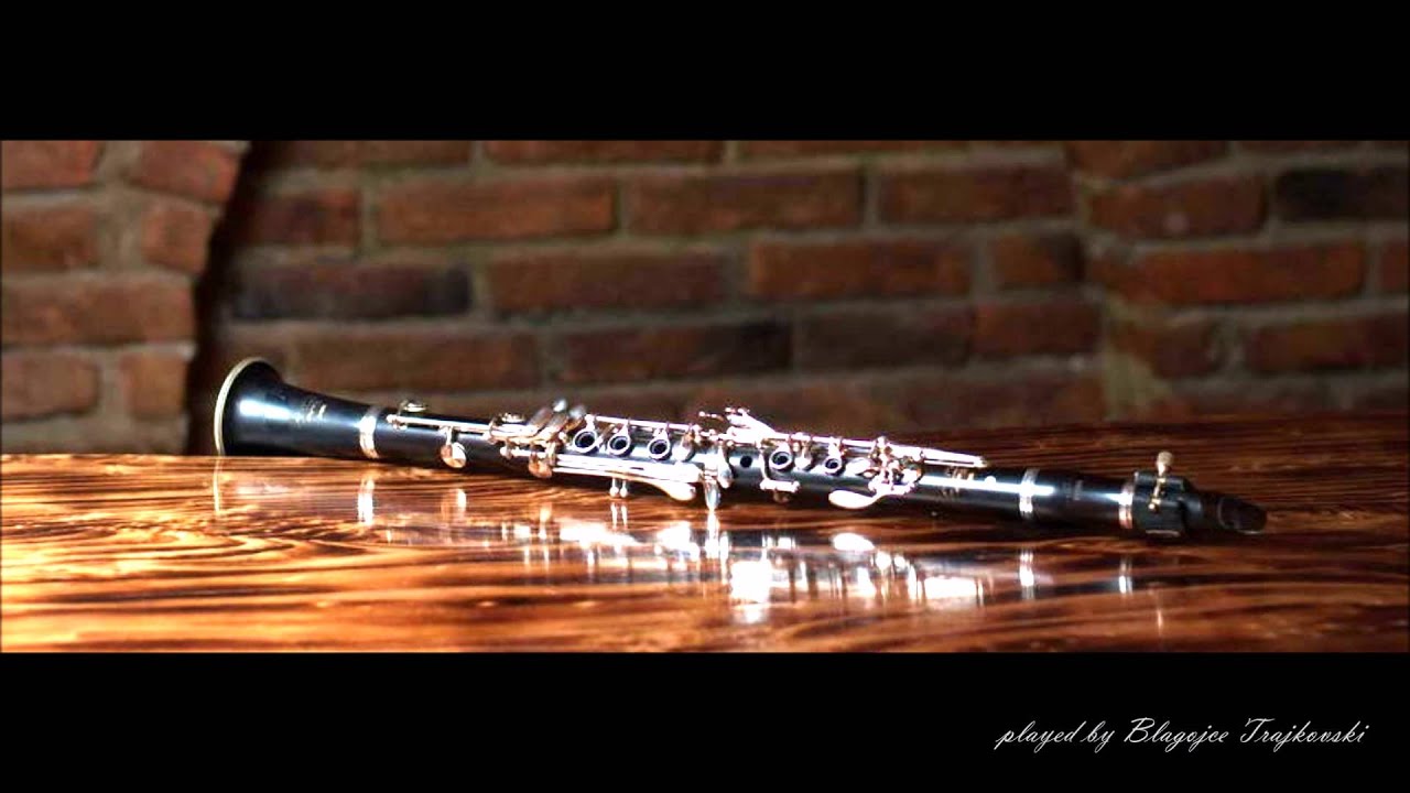 Blagojce Trajkovski - The greatest clarinet solo ever!! //live//