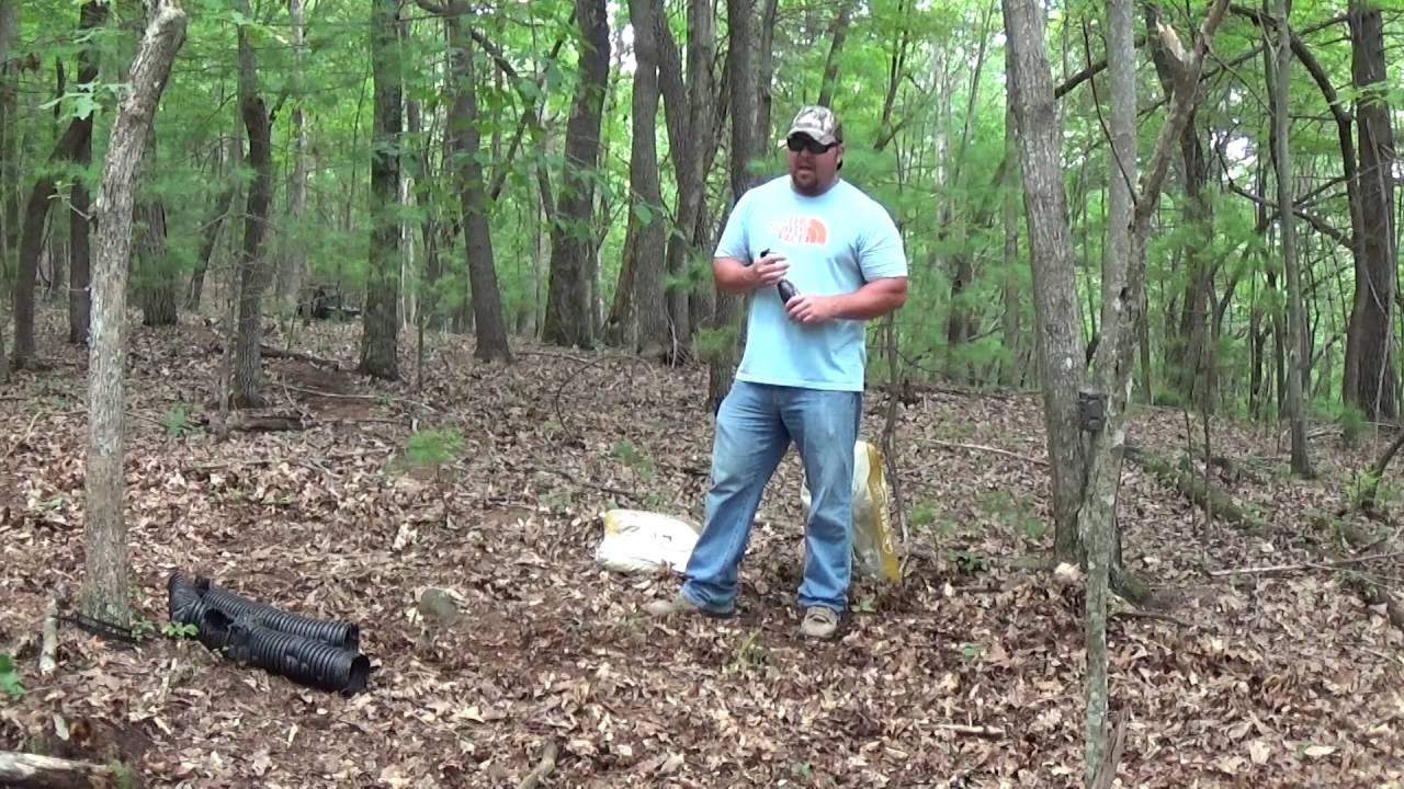 How to keep Bears off Trail Cameras