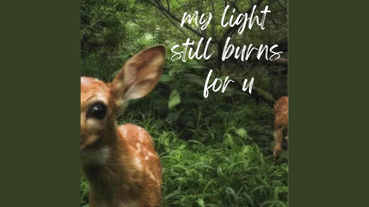 my light still burns for u
