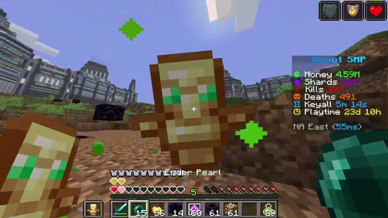 5m 25m donut smp